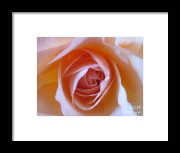  Framed Print featuring the photograph Peachy keen by Miss McLean