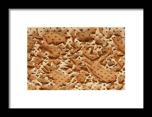  Outback Framed Print featuring the photograph Pegboard Ceiling by Jan Lawnikanis
