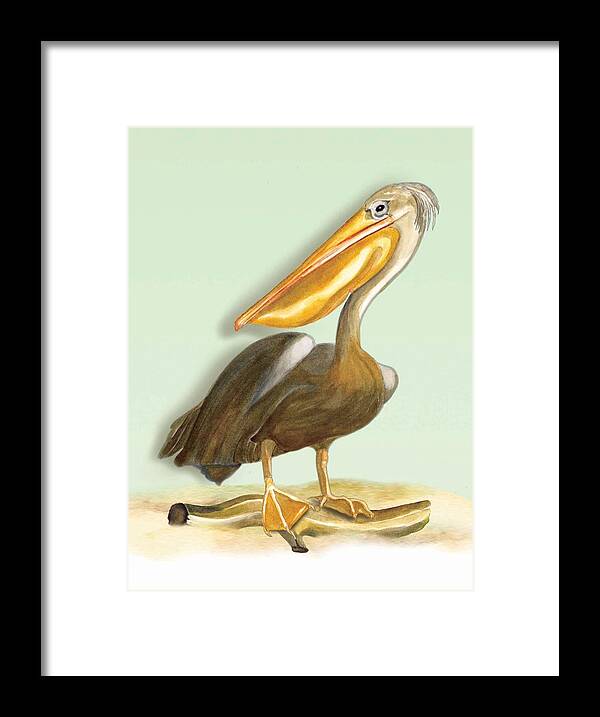 Pelican Beach Framed Print featuring the painting Pelican Bill by Anne Beverley-Stamps