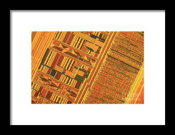 Silicon Framed Print featuring the photograph Pentium Computer Chip by Michael W. Davidson
