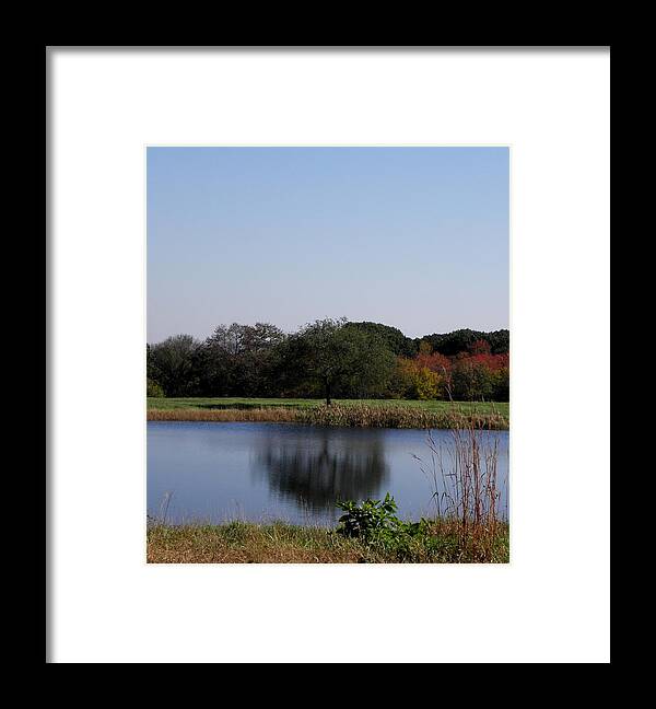 Reflection Framed Print featuring the photograph Perfect Reflection by Kim Galluzzo