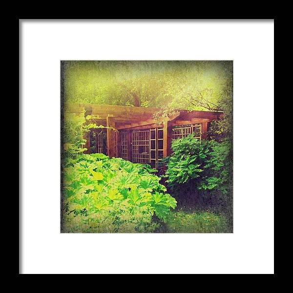 Calm Framed Print featuring the photograph Pergola by Isabel Poulin