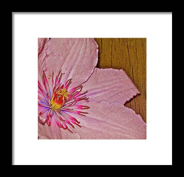 Flower Framed Print featuring the photograph Petals and Plank by Randy Rosenberger