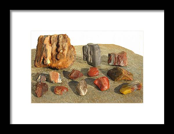 Petrified Wood Framed Print featuring the photograph Petrified Wood by Andonis Katanos