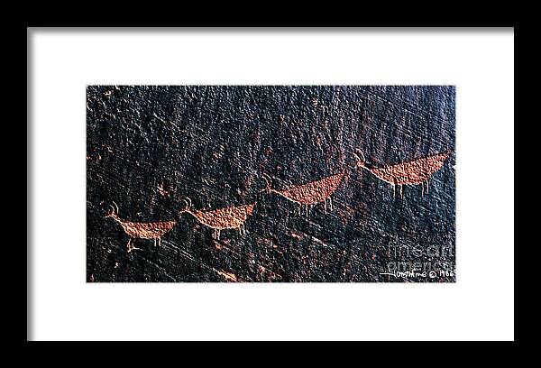 Petroglyphs Framed Print featuring the photograph Petroglyphs1 by Jonathan Fine