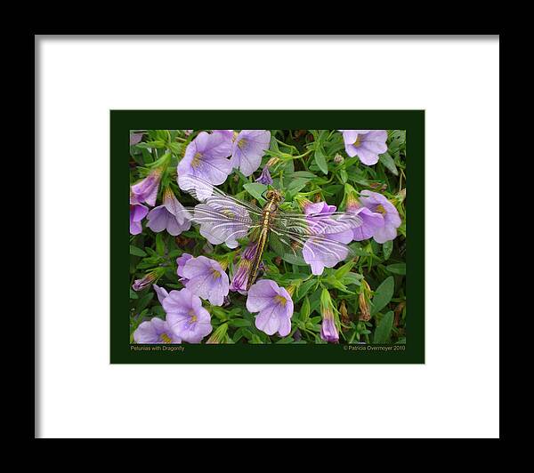 Petunias Framed Print featuring the photograph Petunias with Dragonfly by Patricia Overmoyer