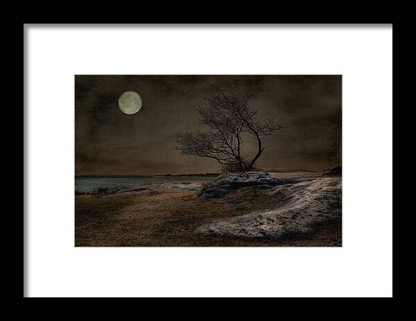 Full Moon Framed Print featuring the photograph Phoenix Moon by Robin-Lee Vieira