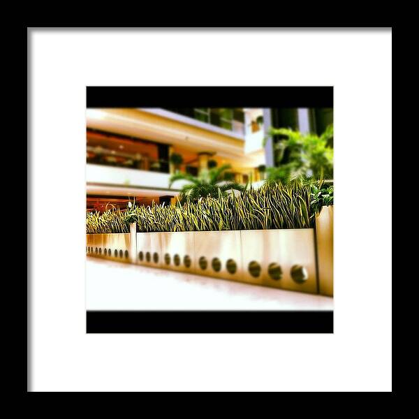 Art Framed Print featuring the photograph #photooftheday #picoftheday #insta by Jawad Qamar