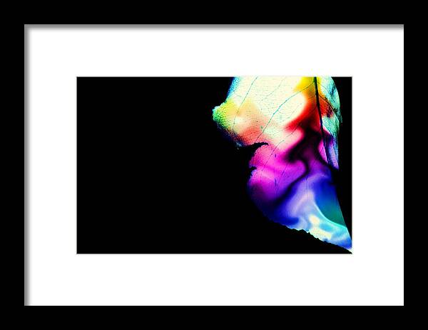 Leaf Framed Print featuring the photograph Phycadelic Leaf by Jessica S
