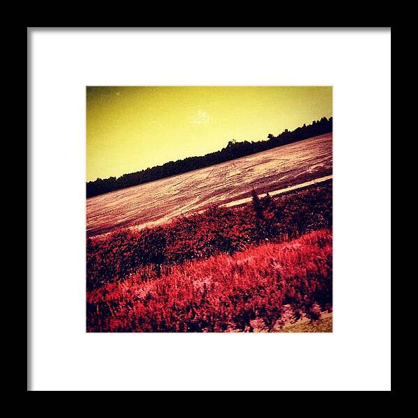 Beautiful Framed Print featuring the photograph Pic While Driving by Katie Williams