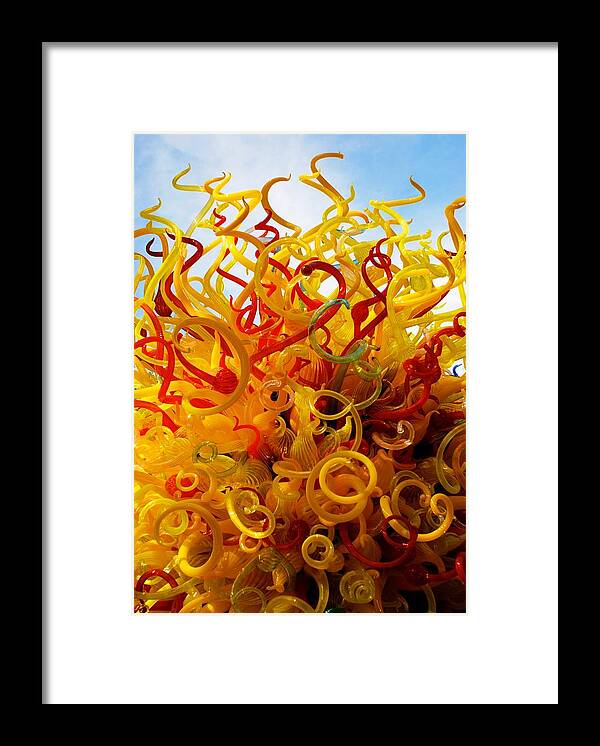Glass Framed Print featuring the photograph Pigtails by Norma Brock