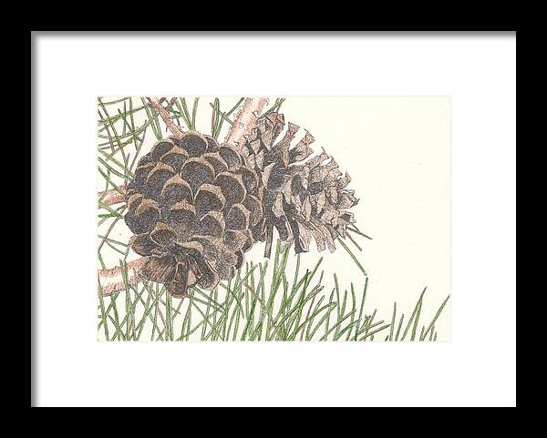 Ink Framed Print featuring the drawing Pine Cone by Marci Mongelli