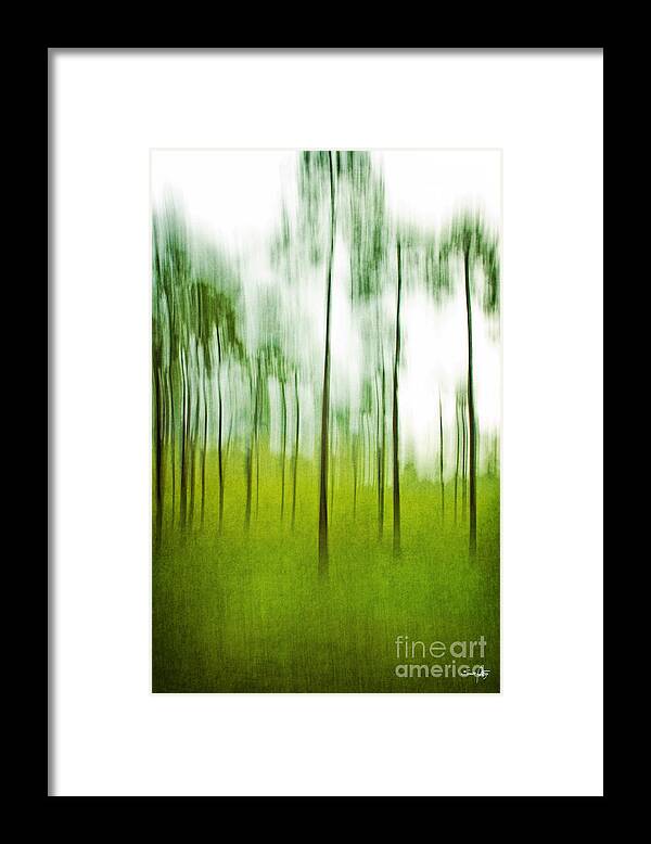 Trees Framed Print featuring the photograph Pines by Scott Pellegrin
