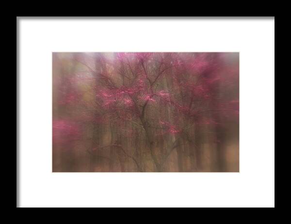 Trees Framed Print featuring the photograph Pink Haze by Coby Cooper