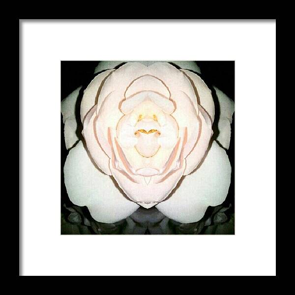 Flower Framed Print featuring the photograph Pink Pink, You Stink. (#rose #symmetry by Alicia Marie