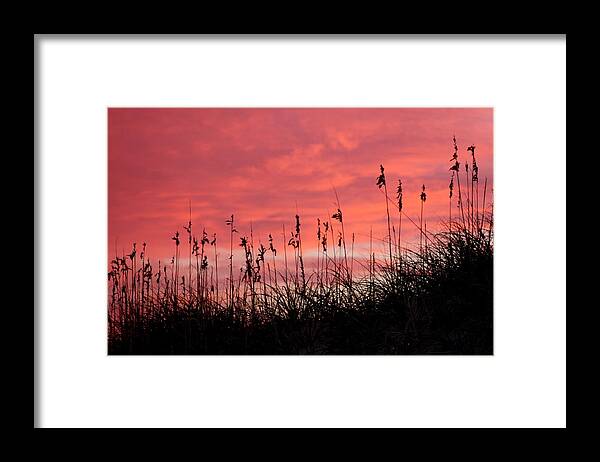 Pink Framed Print featuring the photograph Pink skys above the dunes by Kim Galluzzo