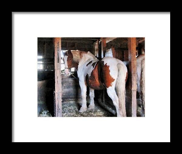 Horse Framed Print featuring the photograph Pinto Looking Back by Susan Savad