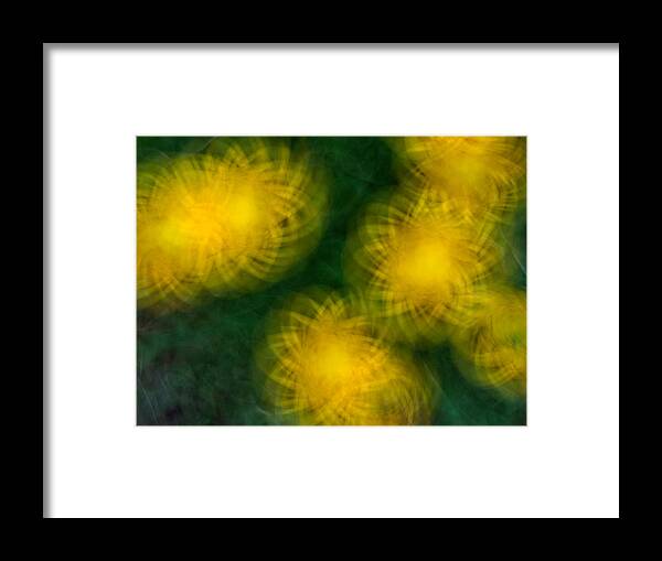 Abstract Framed Print featuring the photograph Pirouetting Dandelions by Neil Shapiro