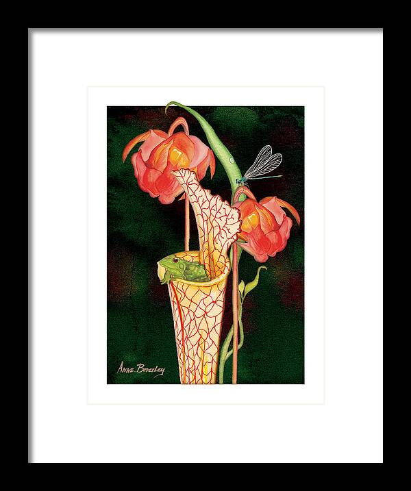 Pitcher Plant Framed Print featuring the painting Pitcher Plant with Blooms by Anne Beverley-Stamps