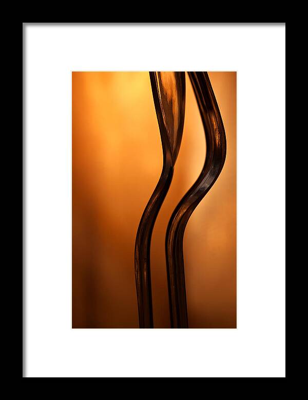 Orange Framed Print featuring the photograph Plastic Fork and Spoon by Carol Leigh