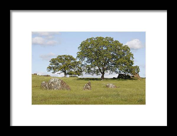 Pleasant Hillside Framed Print featuring the photograph Pleasant Hillside by Wes and Dotty Weber