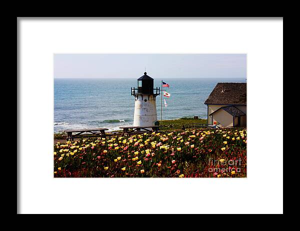 Northwest Landscapes Framed Print featuring the photograph Point Montara Lighthouse Vista by Carol Groenen