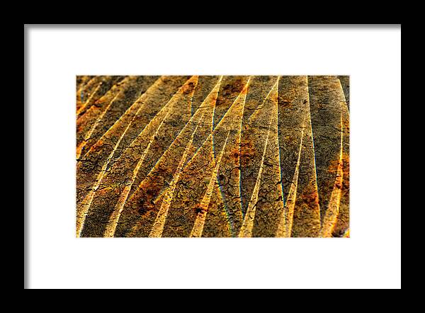 Abstract Framed Print featuring the photograph Points of Light by Sue Capuano