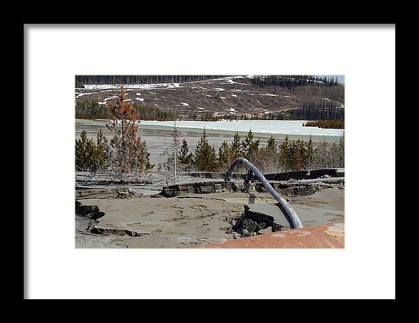 Activity Framed Print featuring the photograph Polluting by Kim French