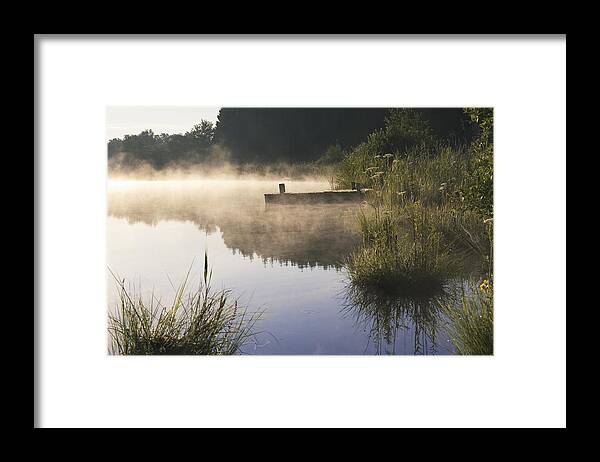 Mp Framed Print featuring the photograph Pond In Early Morning Mist, Upper by Konrad Wothe