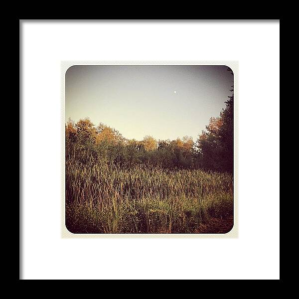 Pond Framed Print featuring the photograph #pond Outback #newhampshire by Nicole Riccio