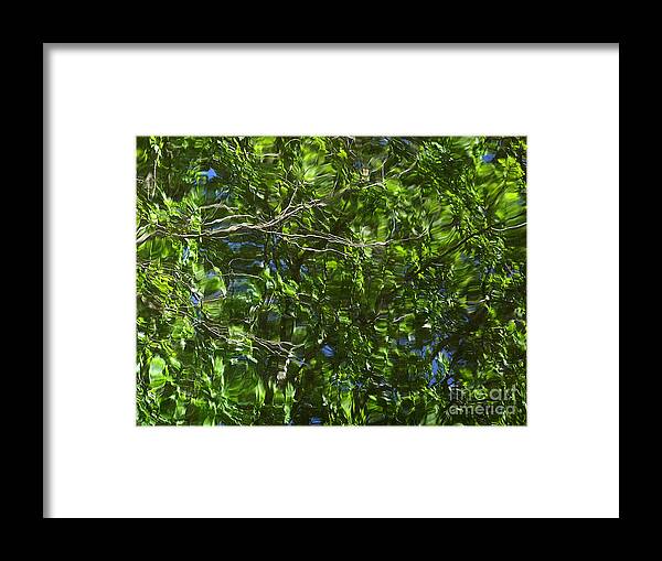 Pond Framed Print featuring the photograph Pond Reflection 3 by Janeen Wassink Searles