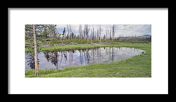 Pond Framed Print featuring the photograph Pond Reflections by Mark Harrington