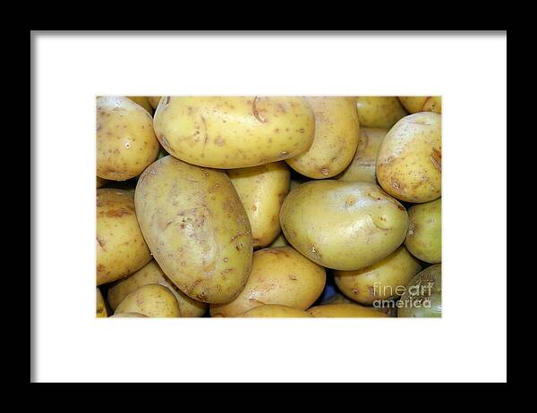 Agriculture Framed Print featuring the photograph Potatoes by Henrik Lehnerer