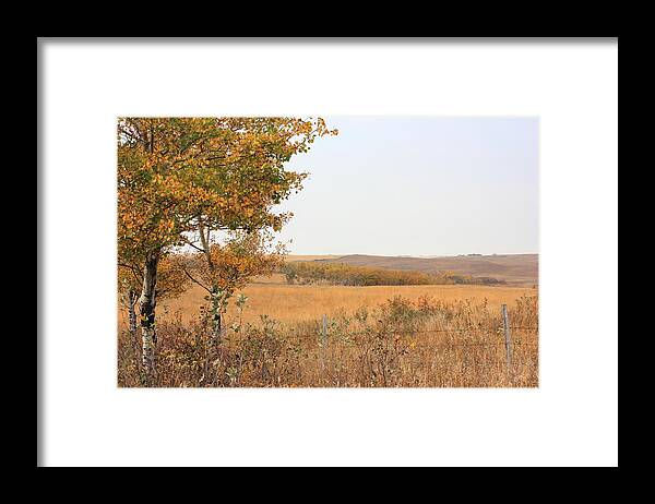canadian Prairie Autumn Framed Print featuring the photograph Prairie Autumn by Jim Sauchyn