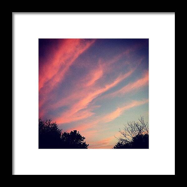  Framed Print featuring the photograph Pretty Colors by Abril Andrade