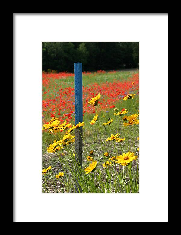 Primary Colors Framed Print featuring the photograph Primary Colors by Larry Landolfi