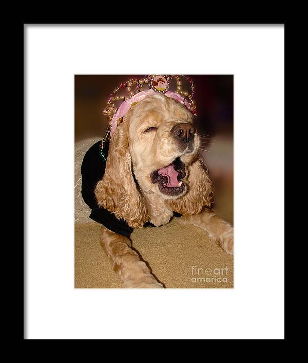 Dog Framed Print featuring the photograph Princess Lazy Paws by Laura Brightwood