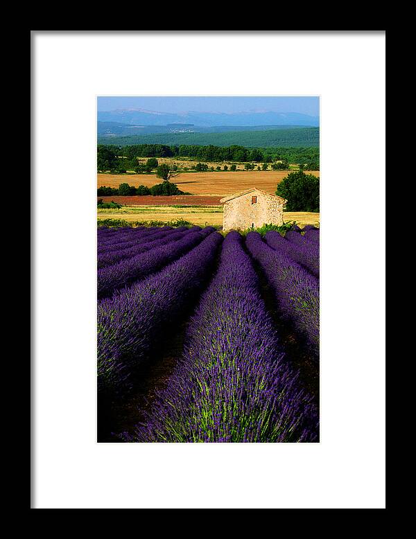 Poet Lavel Framed Print featuring the photograph Provencal Summers by John Galbo