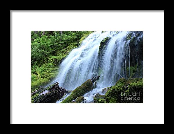 Proxy Falls Framed Print featuring the photograph Proxy Falls by Kami McKeon