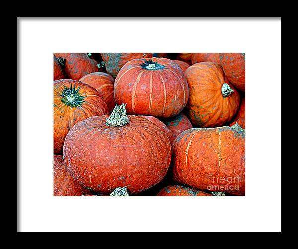 Pumpkin Framed Print featuring the photograph Pumpkin Patch by Kevin Fortier