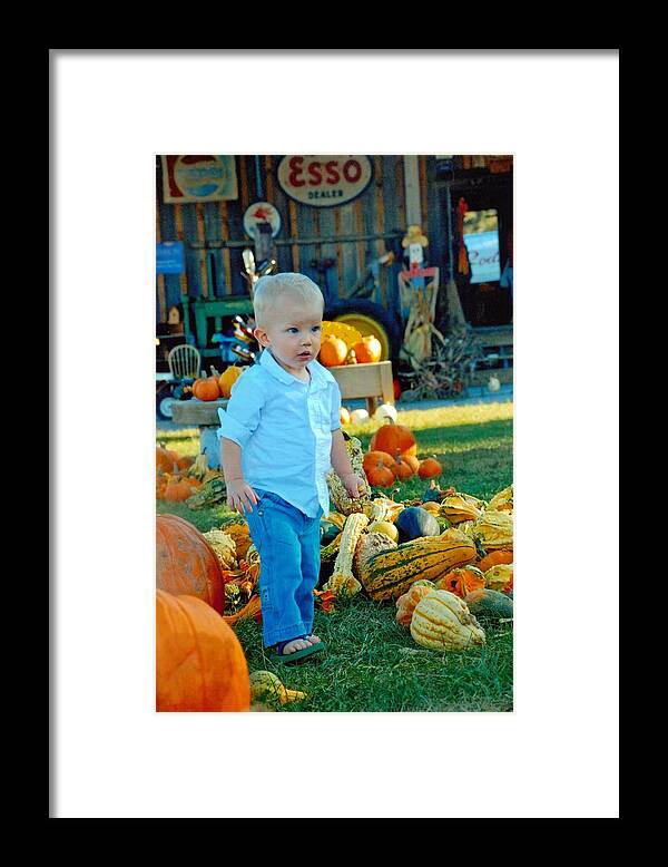 Pumpkin Framed Print featuring the photograph Pumpkin by Phil Burton