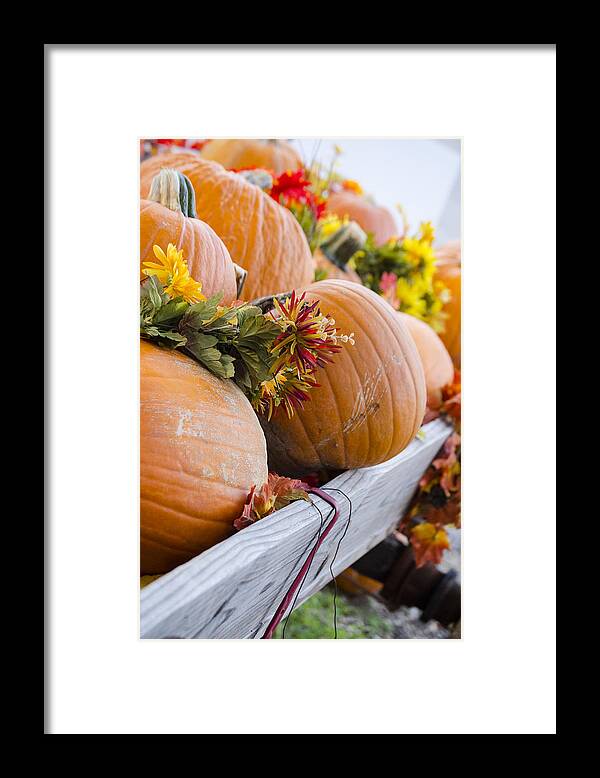 Pumpkins Framed Print featuring the photograph Pumpkin Wagon by Debbie Karnes