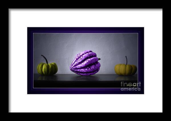 Pumpkin Framed Print featuring the photograph Pumpkins by Bruno Santoro