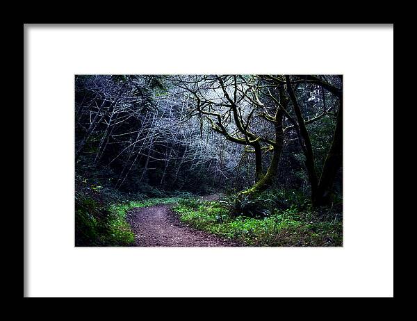 Purisima Framed Print featuring the photograph Purisima Creek Trail by Matt Hanson