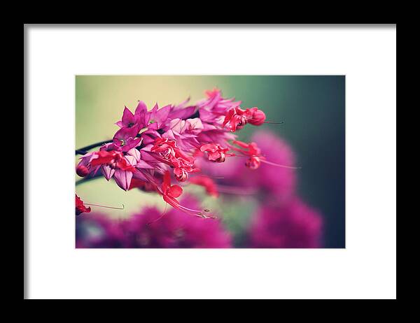 Flower Framed Print featuring the photograph Purple Flowers of Kauai by Karla DeCamp