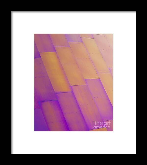 Purple Framed Print featuring the photograph Purple Orange I by Chris Dutton
