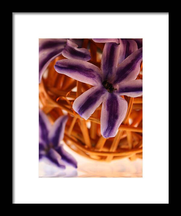 Purple Framed Print featuring the photograph Purple Star 2 by Bobby Villapando
