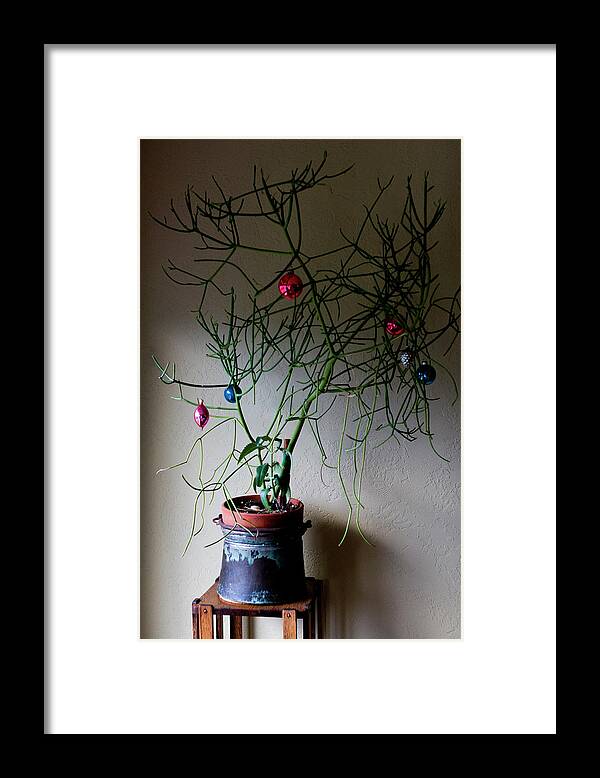 Christmas Tree Framed Print featuring the photograph Quirky Christmas by Lorraine Devon Wilke