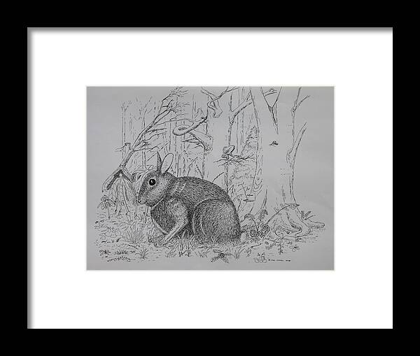 Nature Framed Print featuring the drawing Rabbit In Woodland by Daniel Reed