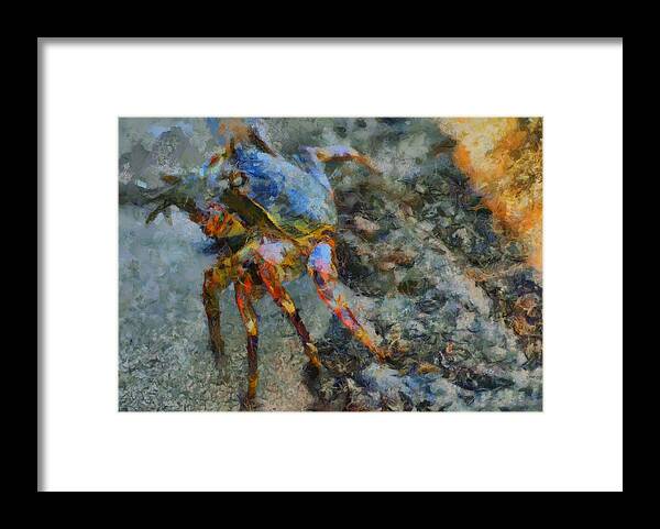 Crab Framed Print featuring the painting Rainbow Crab by Balram Panikkaserry